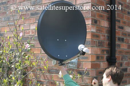 60cm dish